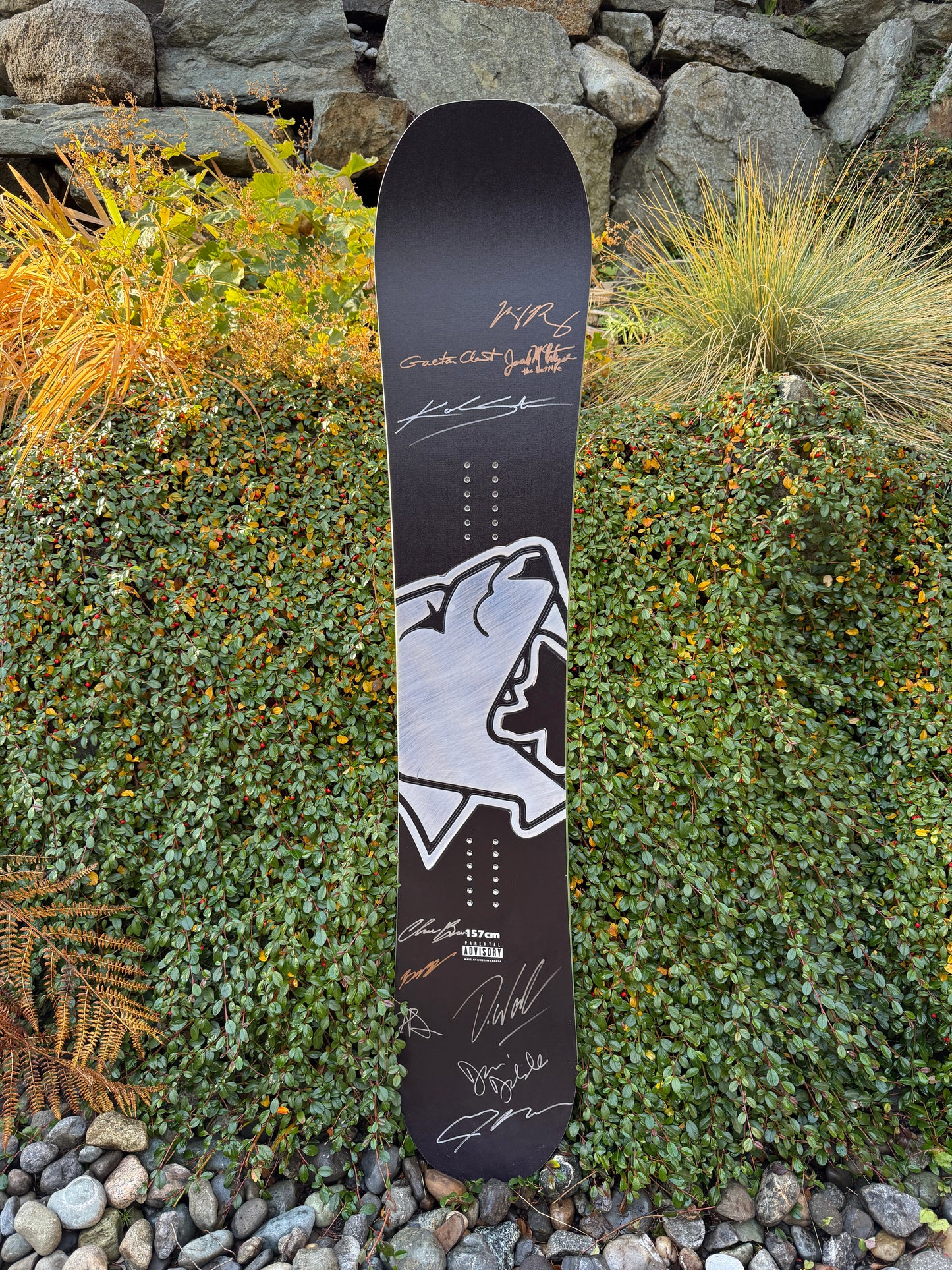 Da Godfather Postcard