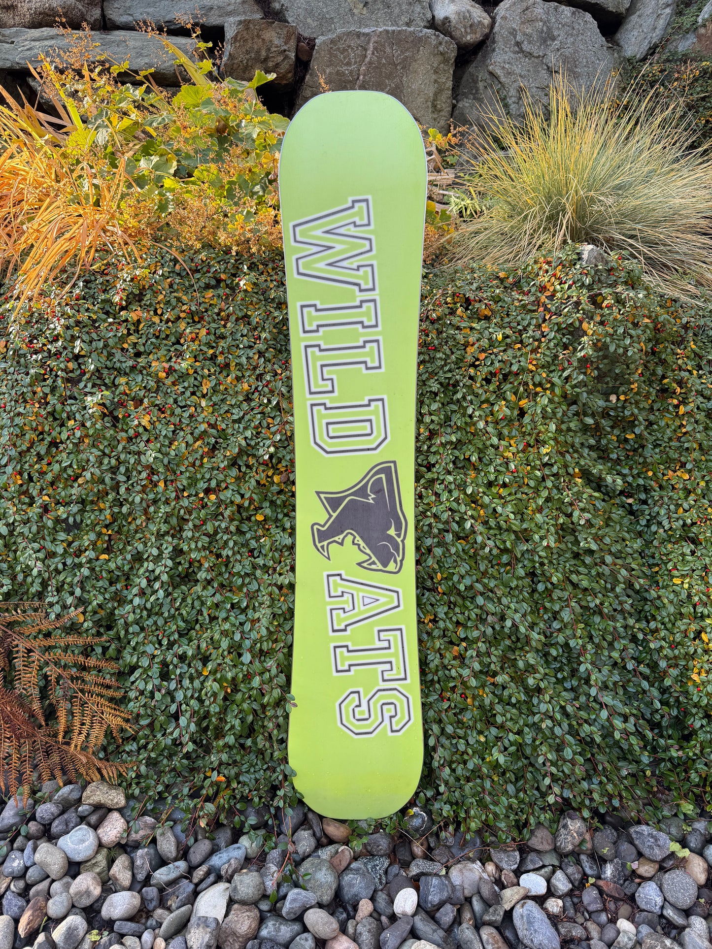 Da Godfather Postcard